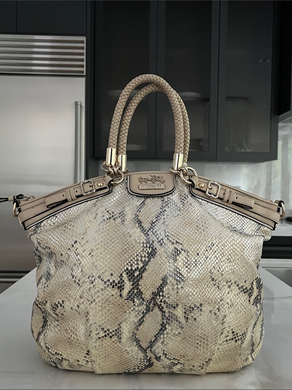 Coach Madison Lindsey Embossed Metallic Python Satchel Shoulder Strap Dust Bag.
